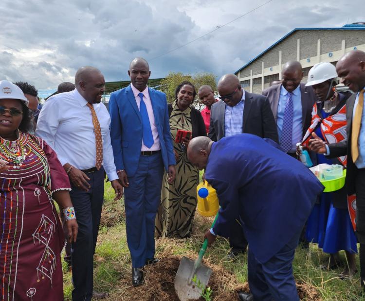 Tree planting  towards conserving the environment
